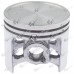 Kit piston drujba Solo 667 48mm (Terra) 